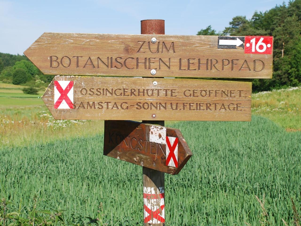 Koenigsteiner Hof Hotel 3*